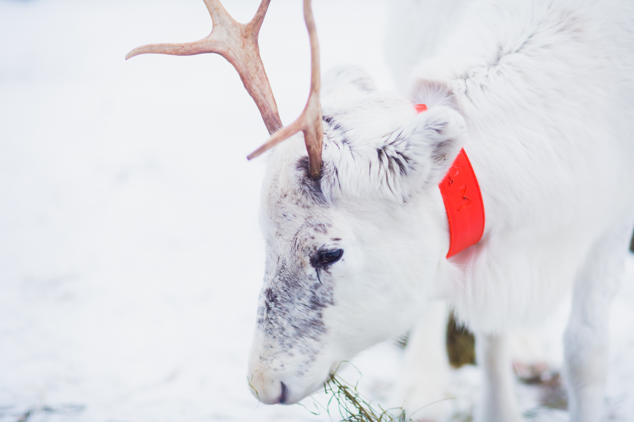 Winterlandschaft 00002